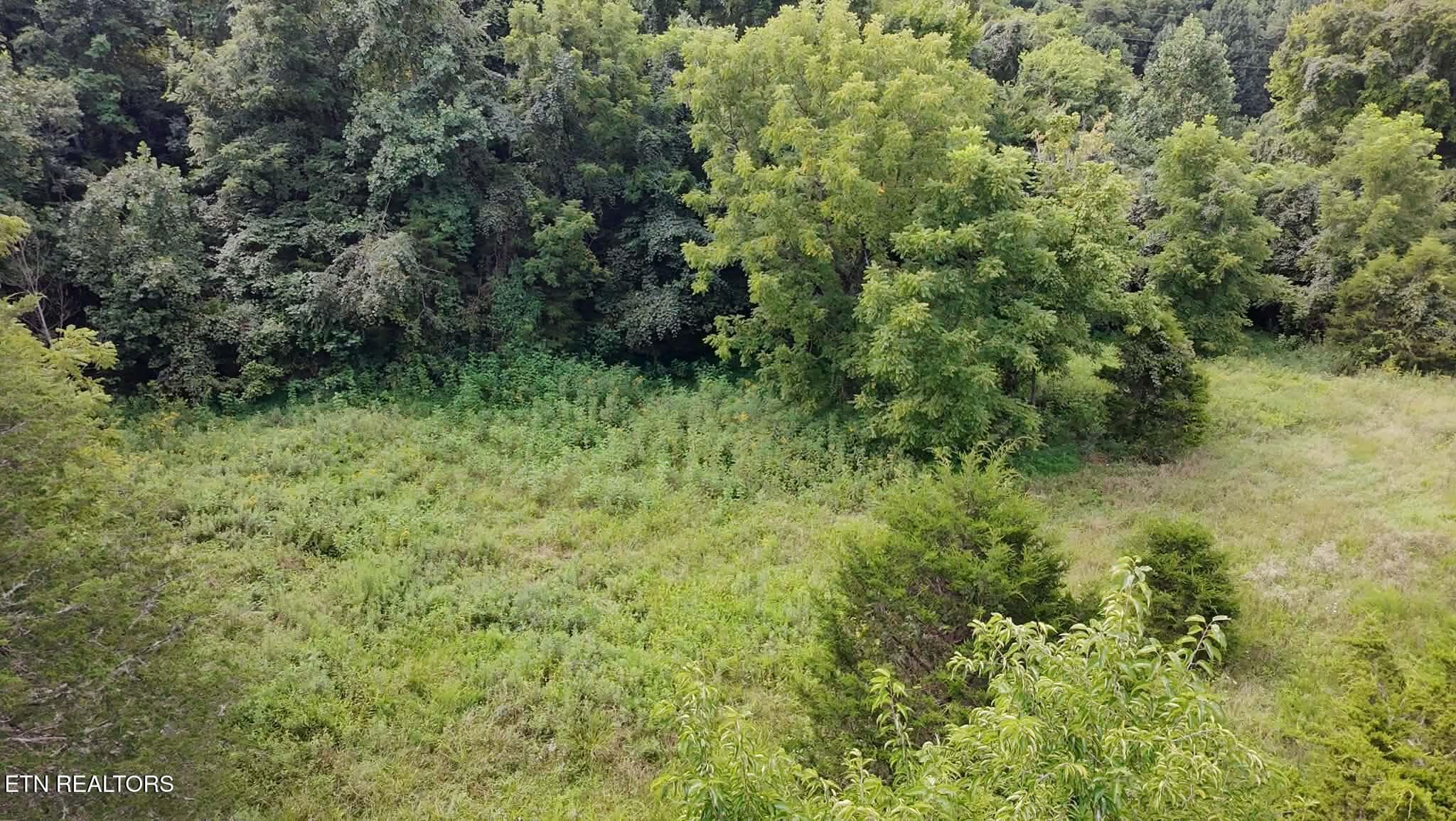 2f42554d-7da1-43e8-ace0-439087416f91 (1) - 00 Mulberry Gap Rd, Sneedville, TN 37869