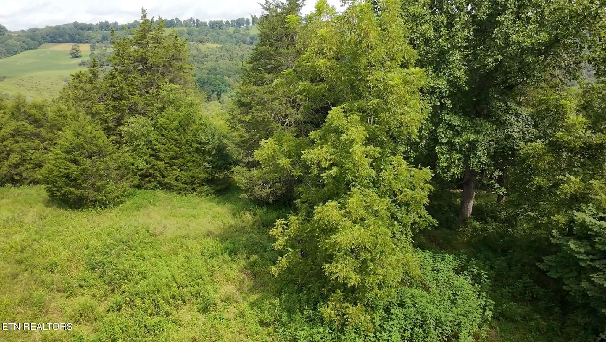 8dab3c16-3f0d-4232-a5a9-767b84436a5c - 00 Mulberry Gap Rd, Sneedville, TN 37869