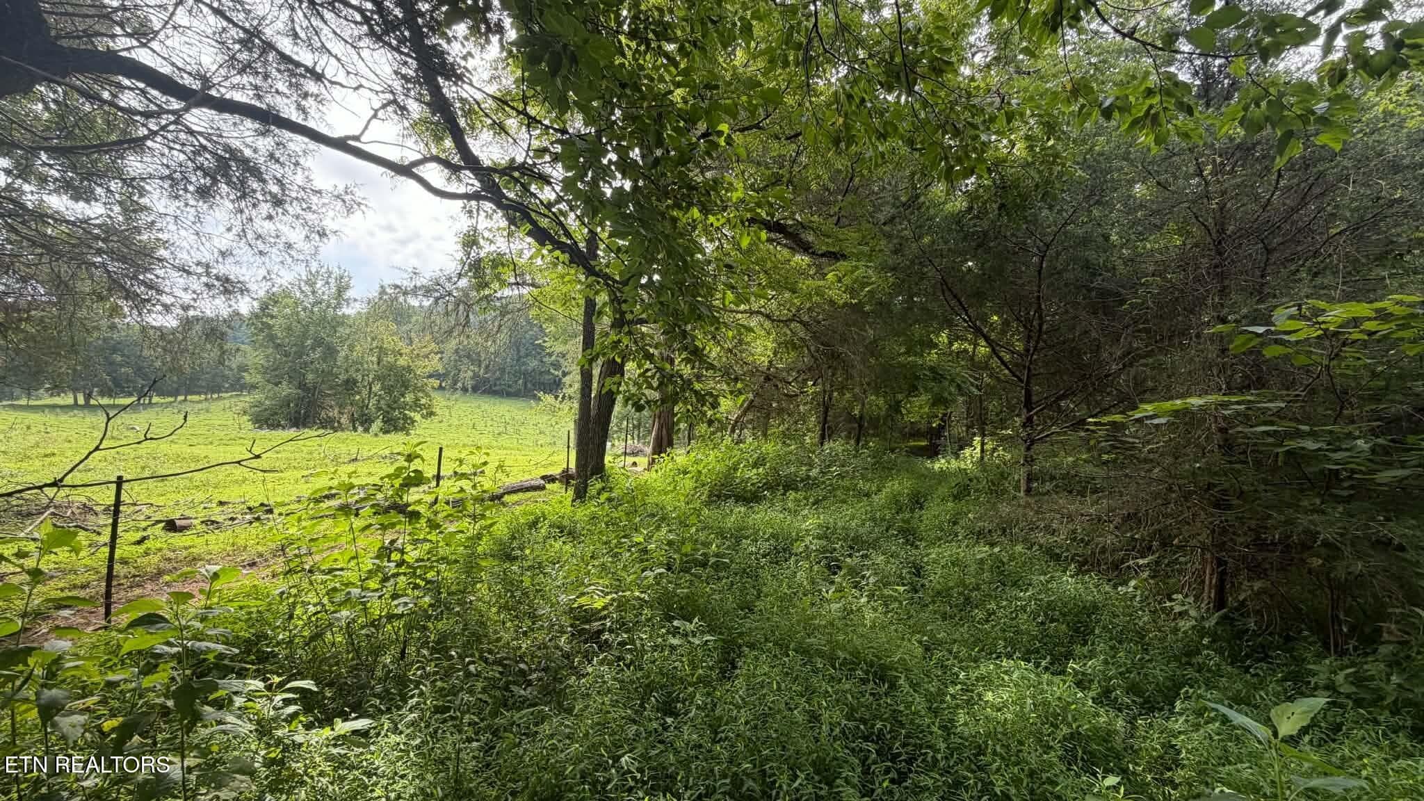 18a4adde-0c92-4470-8d1f-999f96c827e3 - 00 Mulberry Gap Rd, Sneedville, TN 37869