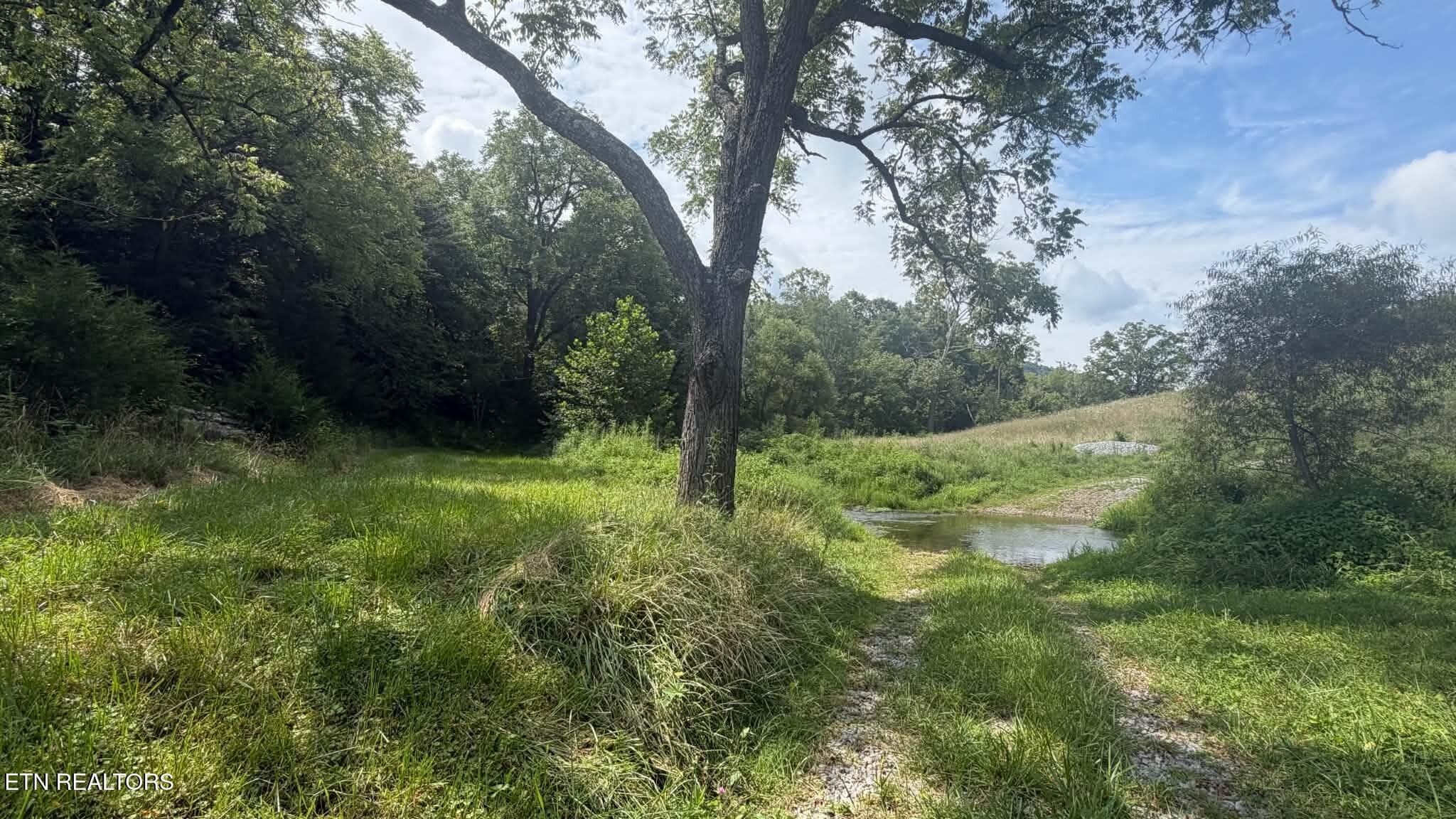 45f83aeb-86a0-4756-8982-0715b0be137c - 00 Mulberry Gap Rd, Sneedville, TN 37869