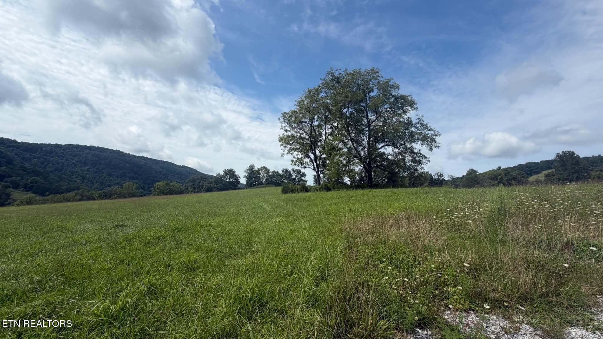 8936ec3d-0460-4737-bd25-ab2229f83980 - 00 Mulberry Gap Rd, Sneedville, TN 37869