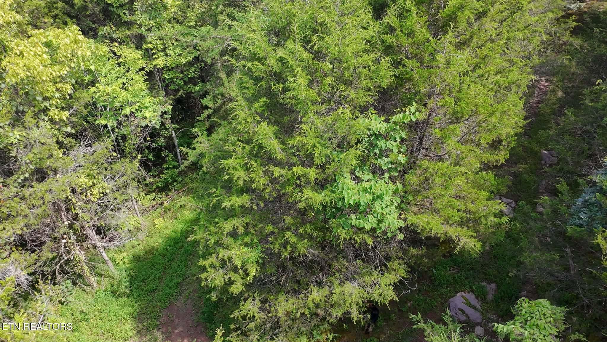 84139f3d-052a-4cb4-a8f3-af787706aff8 - 00 Mulberry Gap Rd, Sneedville, TN 37869