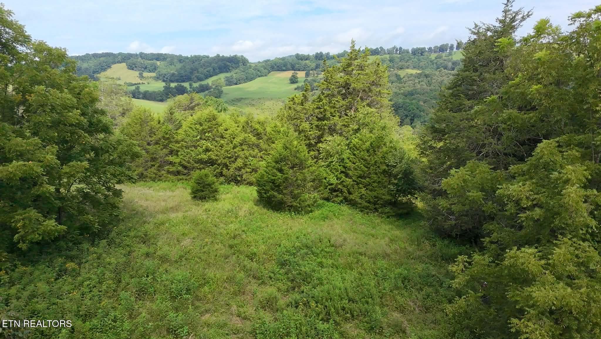 cc839a68-fb47-407b-a9aa-1caabb9fb031 - 00 Mulberry Gap Rd, Sneedville, TN 37869