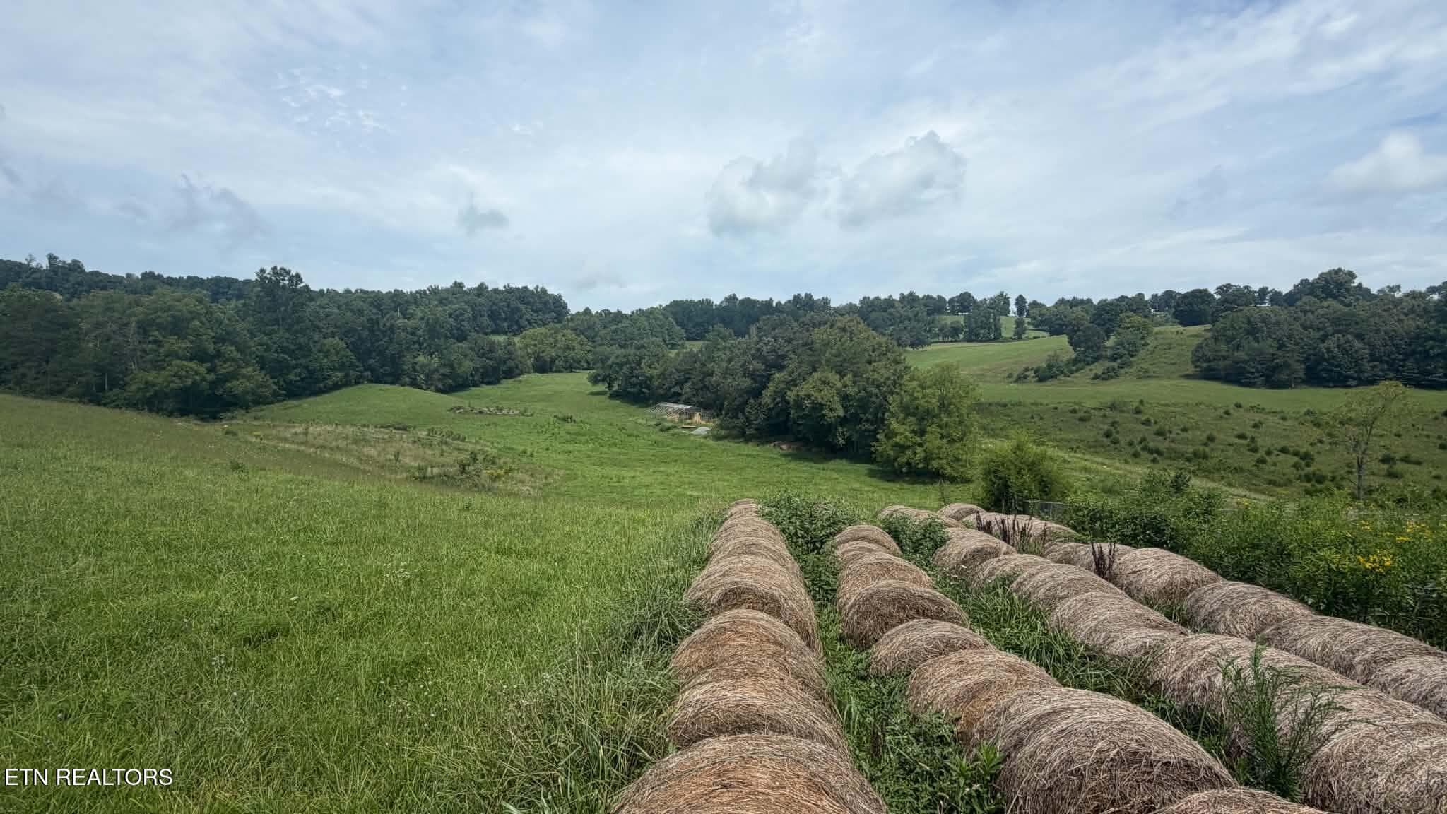 ed26ee87-aeef-43f4-8eba-e128640d5d23 - 00 Mulberry Gap Rd, Sneedville, TN 37869
