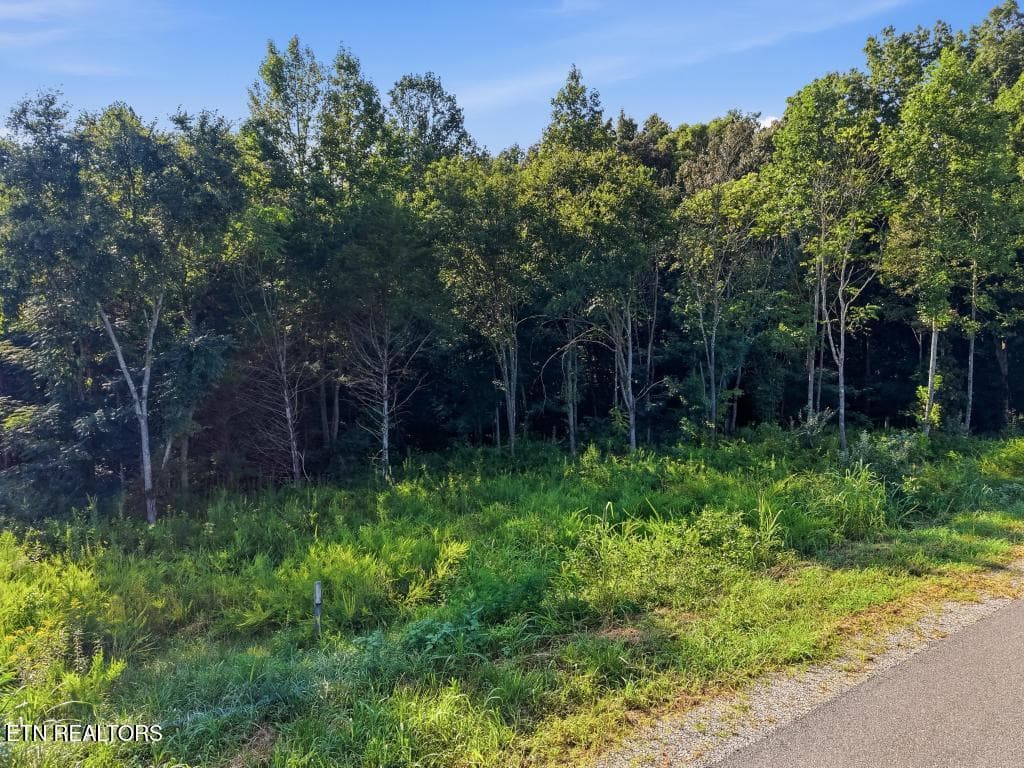 9311_Medlin_Road_Baxter_007 - 9333 Medlin Rd, Baxter, TN 38544