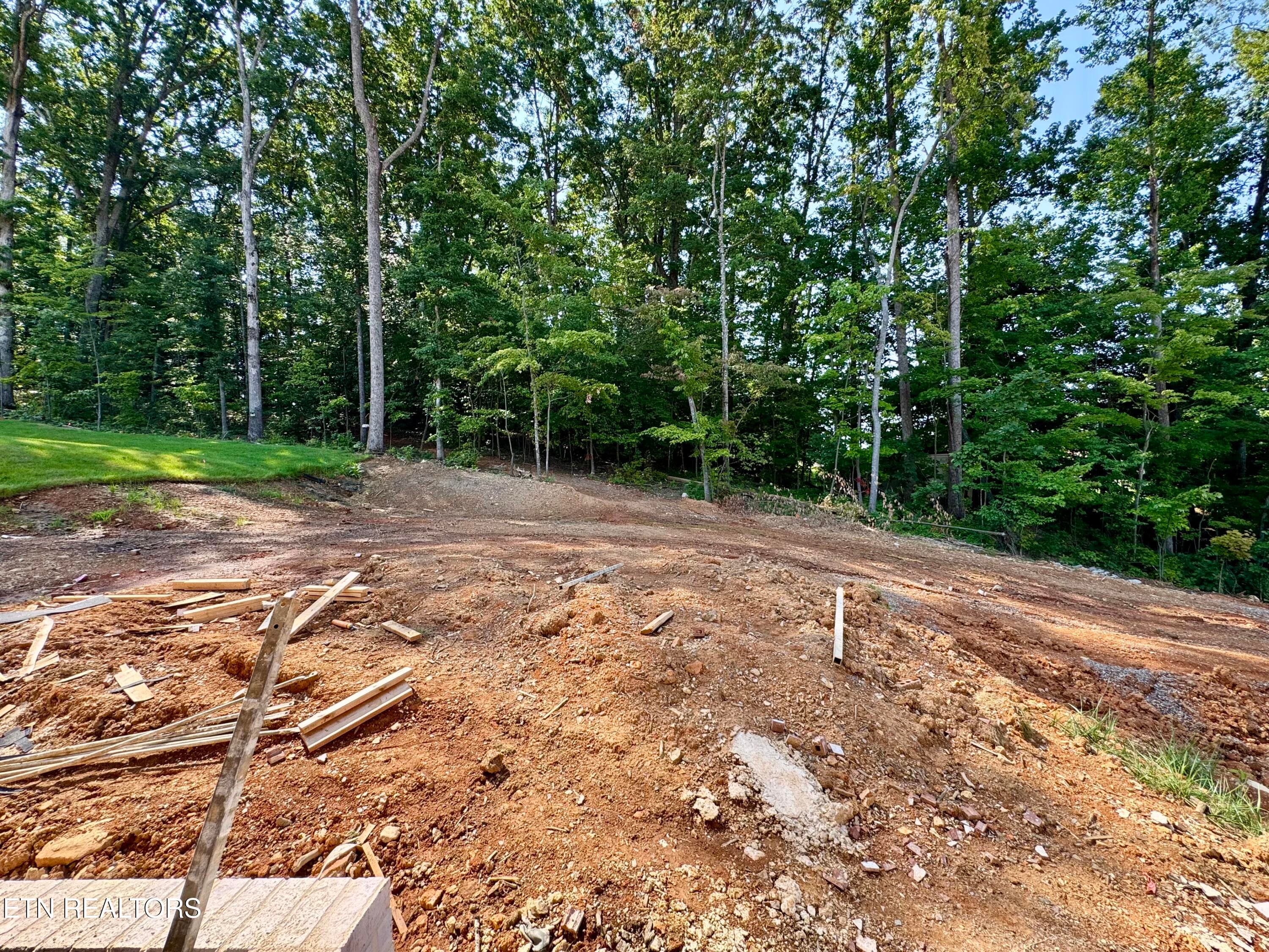 Private Backyard - 9938 Rio Bravo Lane, Knoxville, TN 37922, Knoxville