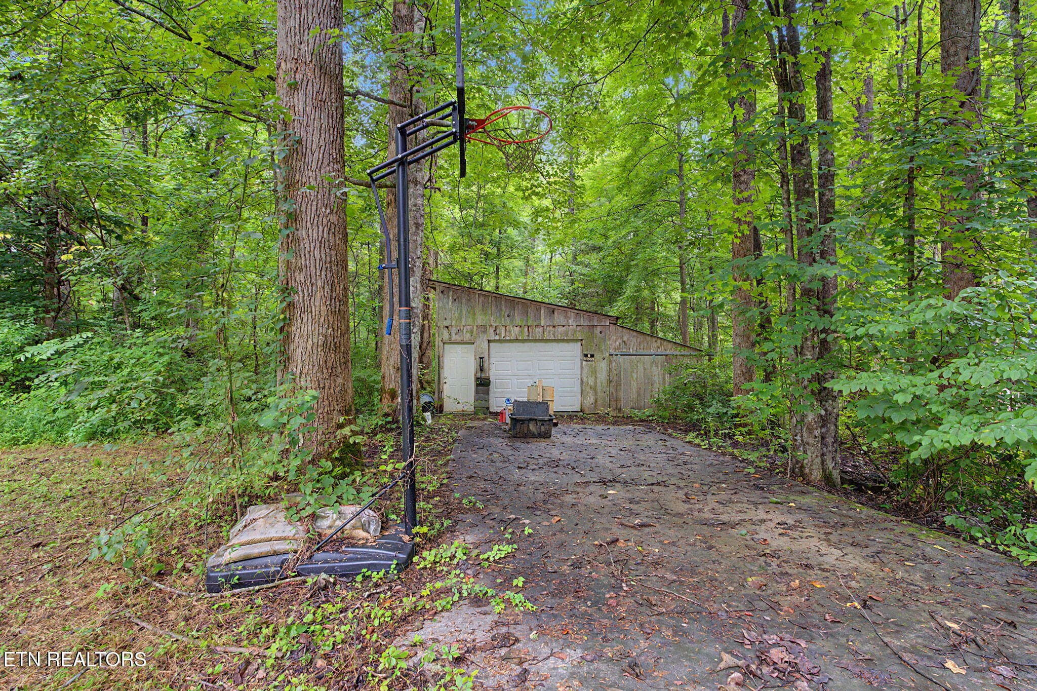 6-web-or-mls-335-thompson-way - 335 Thompson Way, Cosby, TN 37722, Cosby