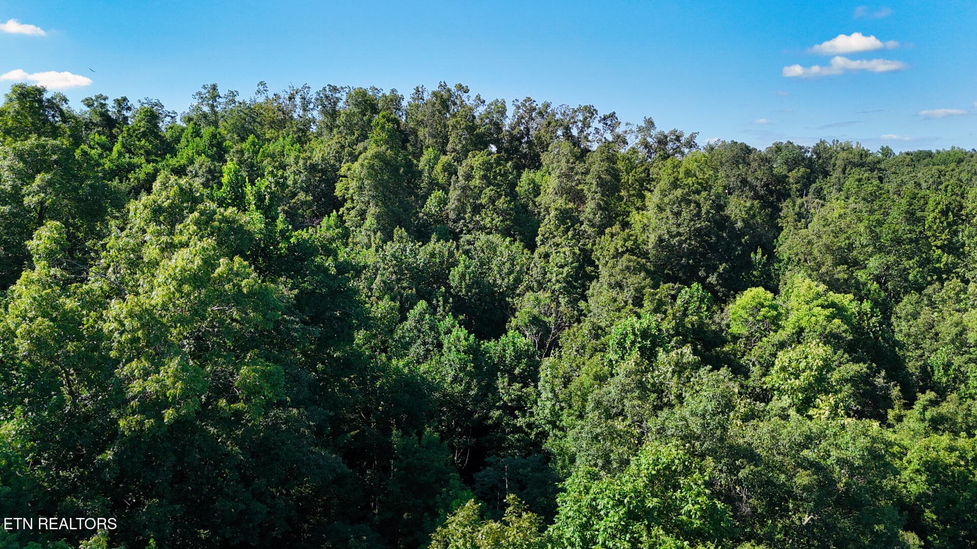 DJI_20260804161620_0365_D - Lot 1 Lindsey Hollow Rd, Gallatin, TN 37066