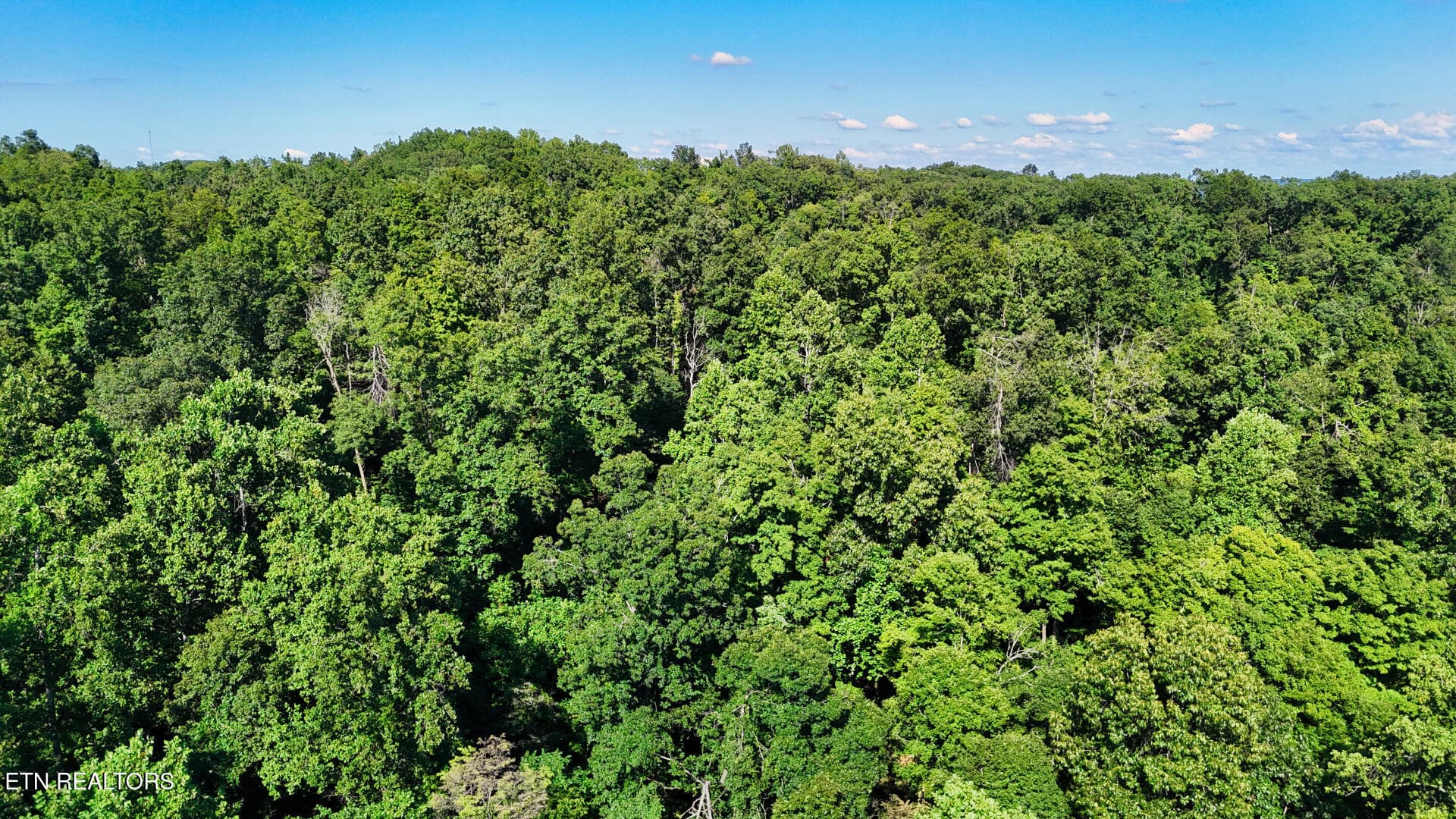 DJI_20260804161640_0369_D - Lot 1 Lindsey Hollow Rd, Gallatin, TN 37066