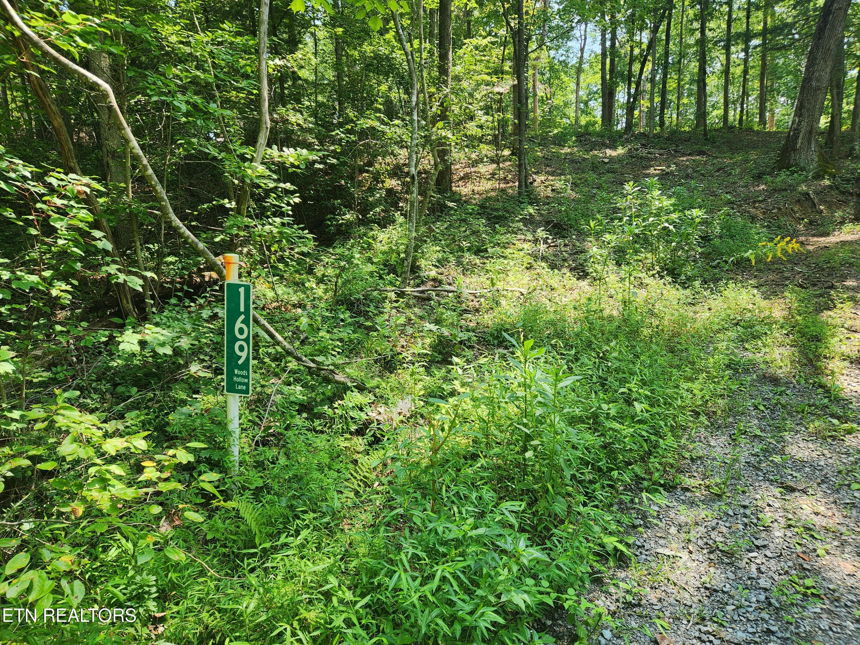 20260810_114810 - 169 Woods Hollow Lane, Crossville, TN 38571, Crossville
