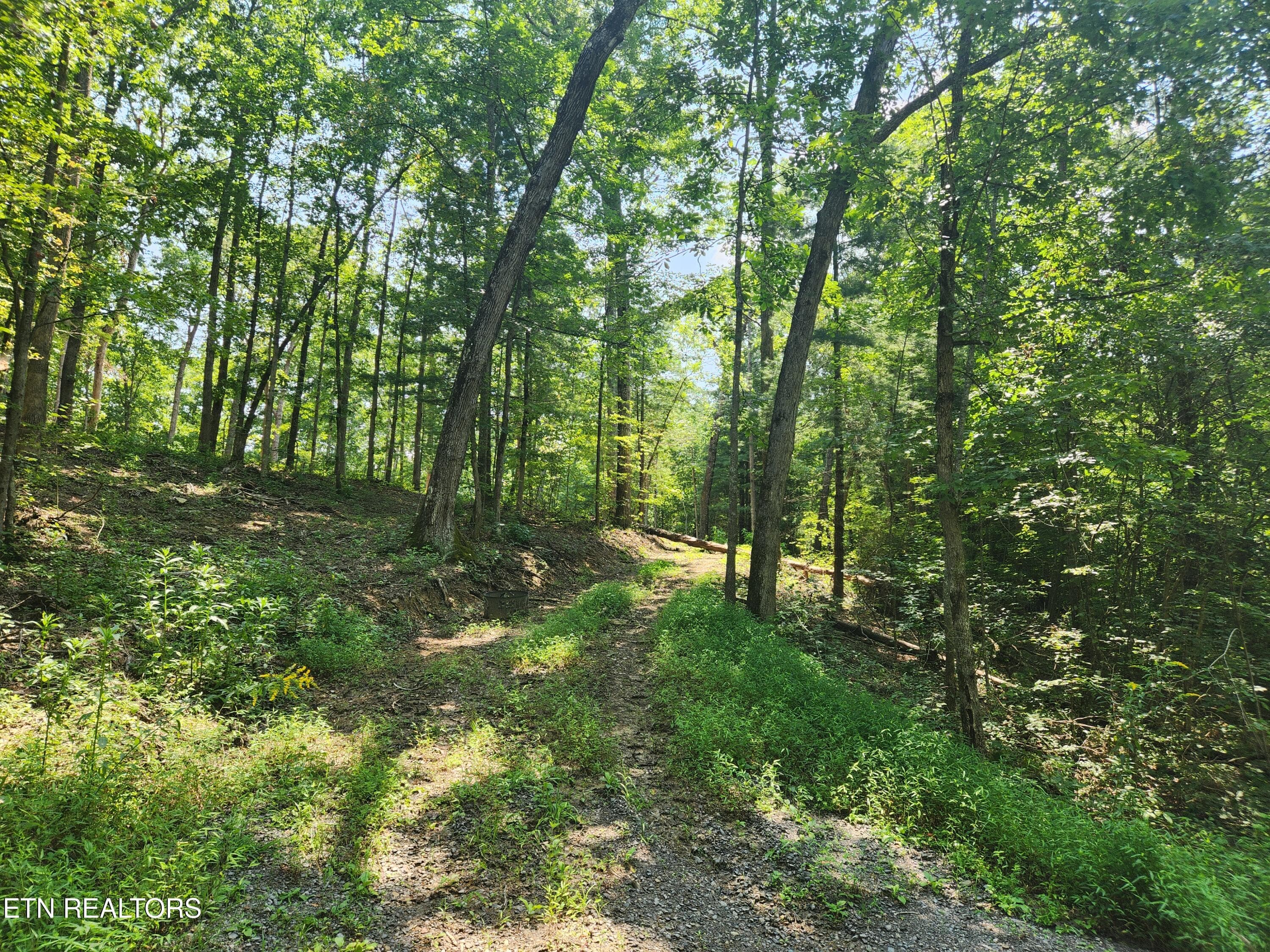 20260810_114808 - 169 Woods Hollow Lane, Crossville, TN 38571, Crossville