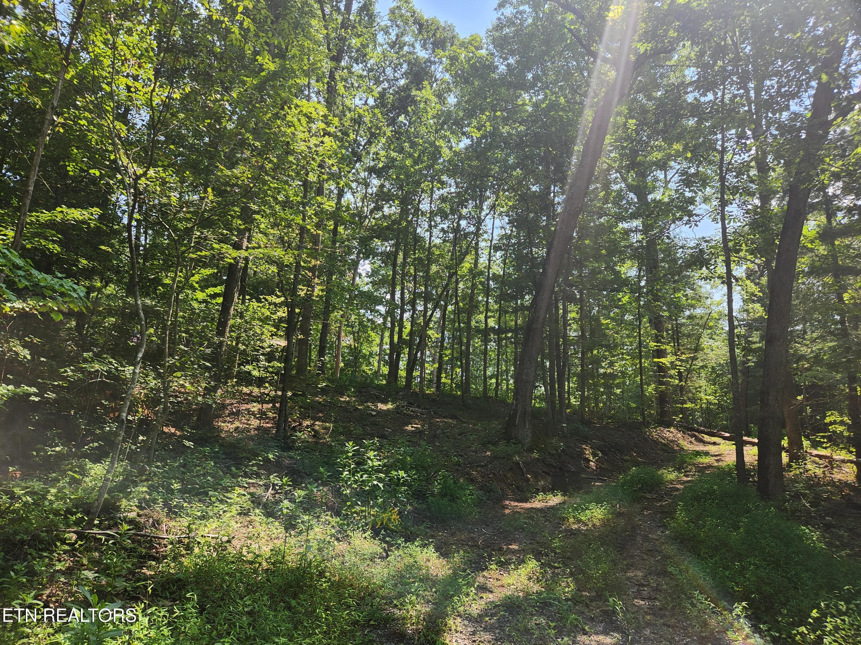 20260810_114806 - 169 Woods Hollow Lane, Crossville, TN 38571, Crossville