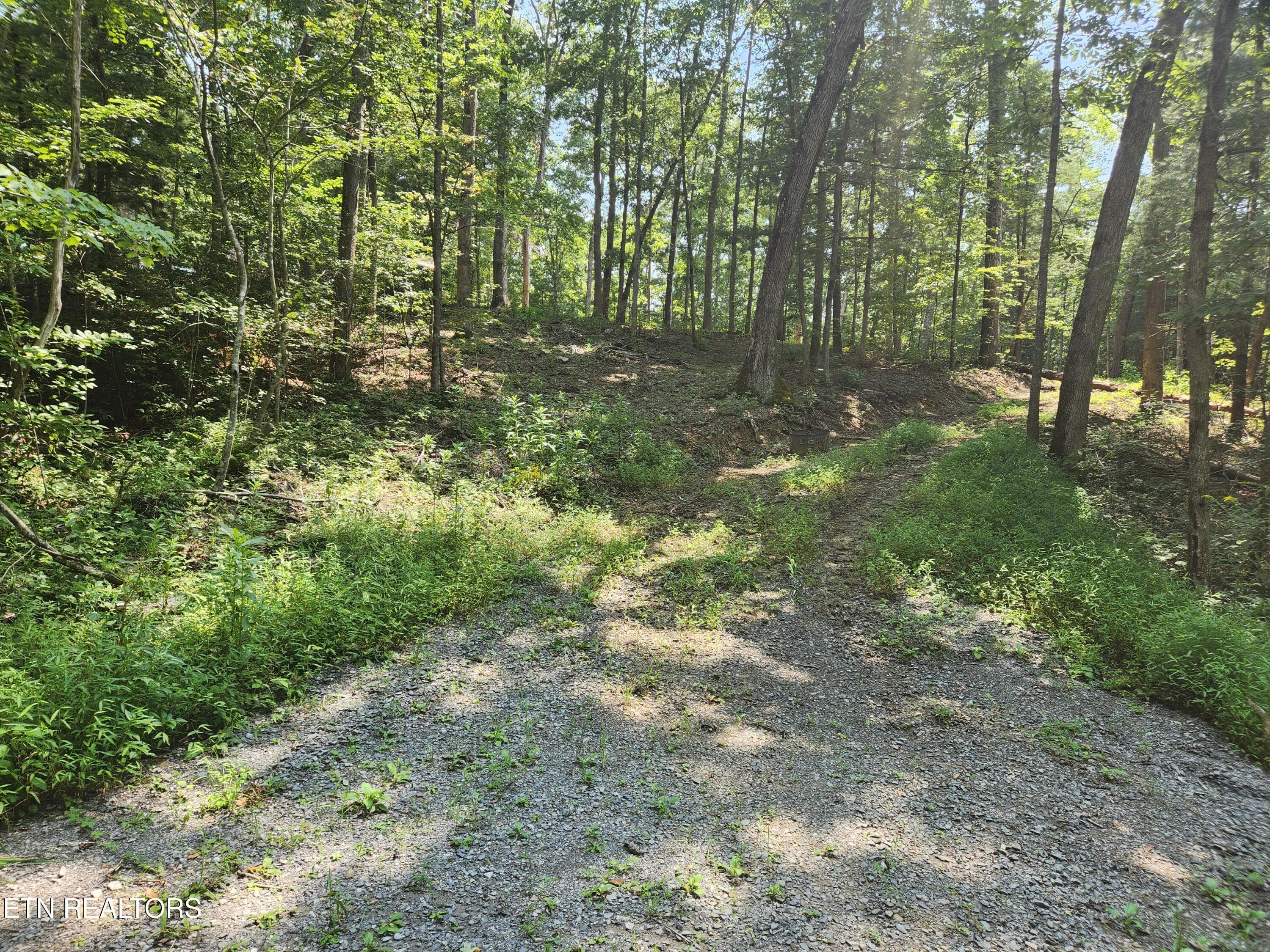 20260810_114803 - 169 Woods Hollow Lane, Crossville, TN 38571, Crossville