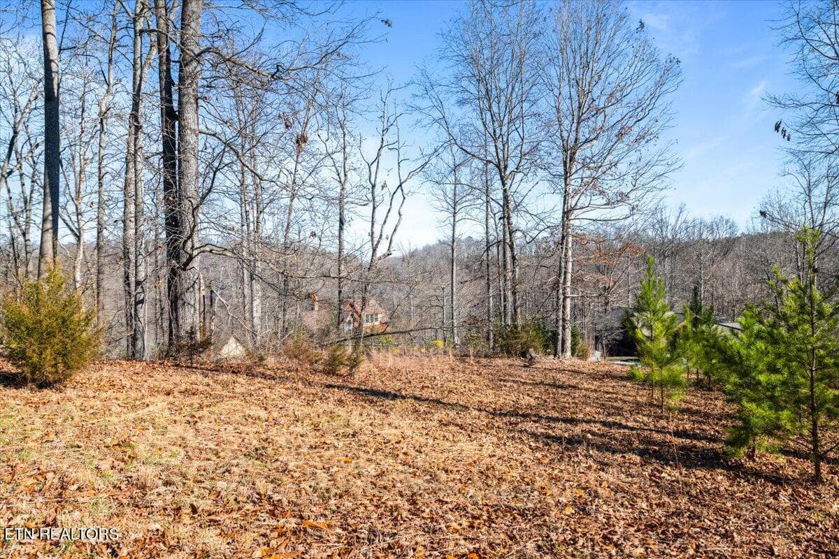 02-Foxwood - Foxwood Drive, Caryville, TN 37714