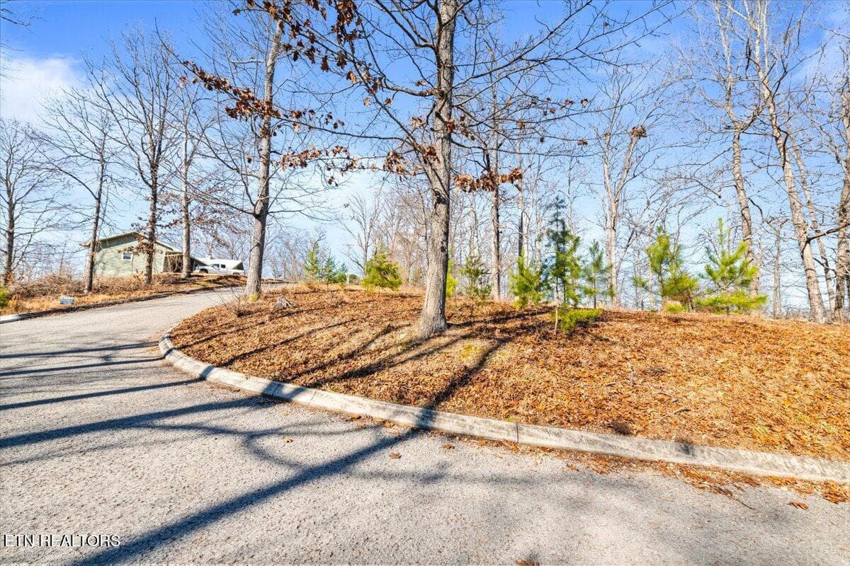 11-Foxwood - Foxwood Drive, Caryville, TN 37714