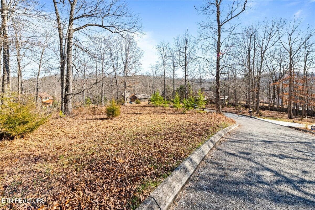 12-Foxwood - Foxwood Drive, Caryville, TN 37714