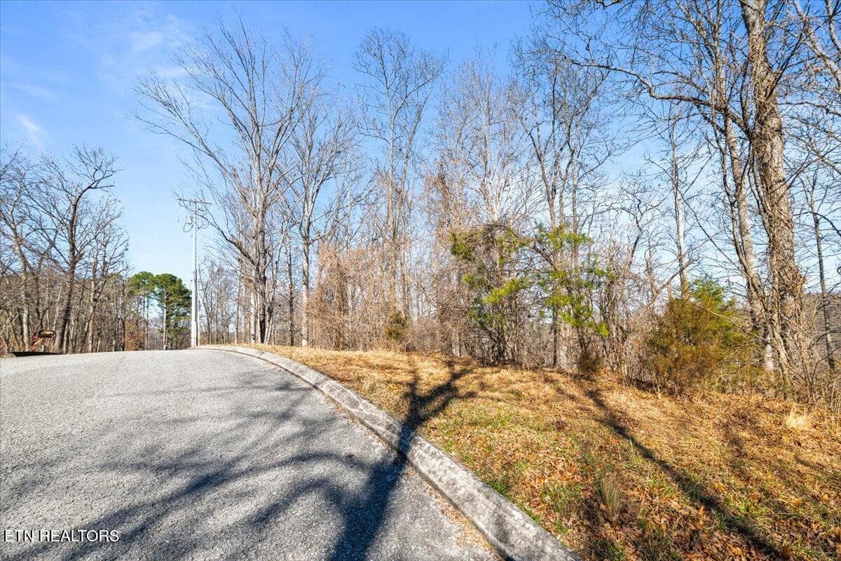 13-Foxwood - Foxwood Drive, Caryville, TN 37714
