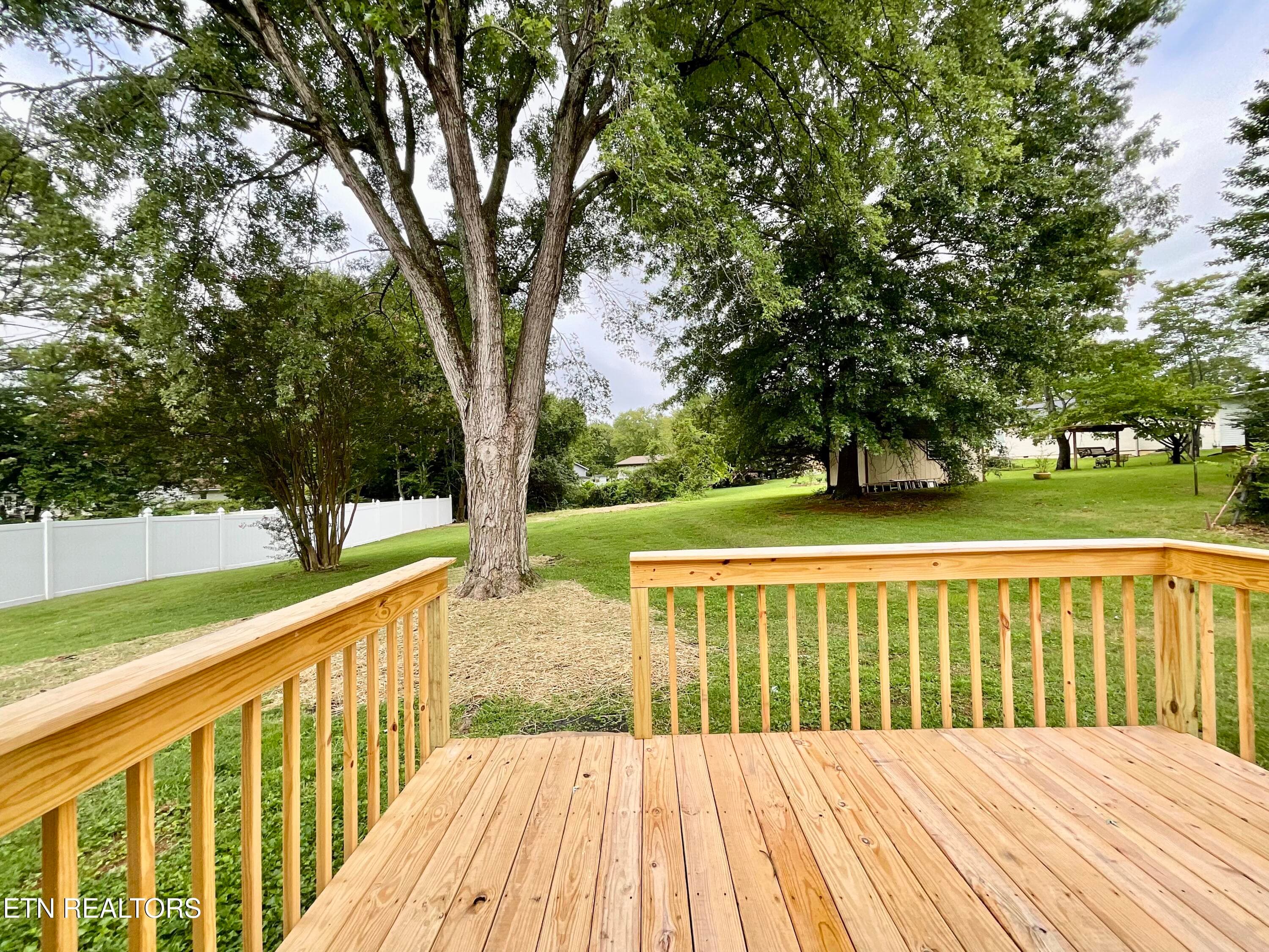 IMG_2415 - 1033 Ruskin Drive, Knoxville, TN 37923, Knoxville