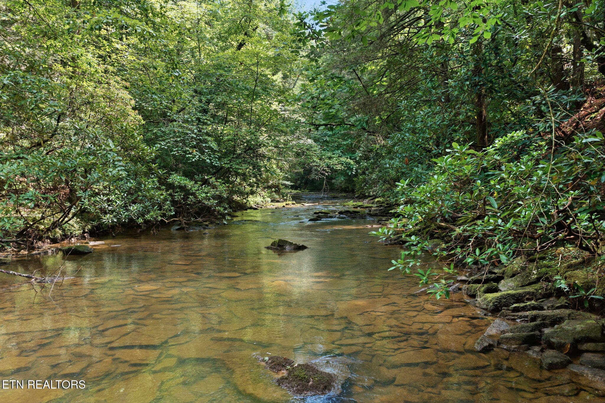 Twin Bridge Rd, Deer Lodge, TN 37726