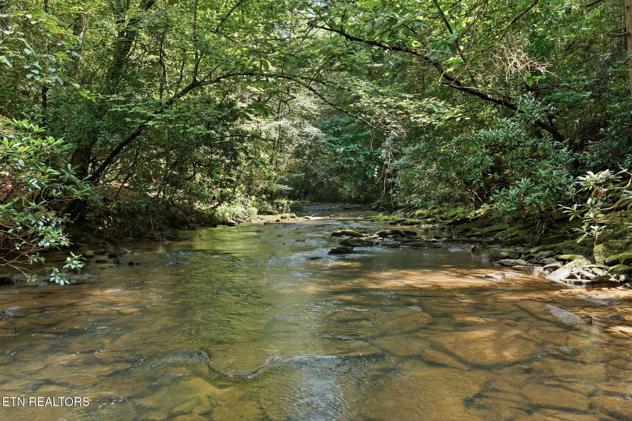 16-web-or-mls-016_Twin Bridge-079 - Twin Bridge Rd, Deer Lodge, TN 37726
