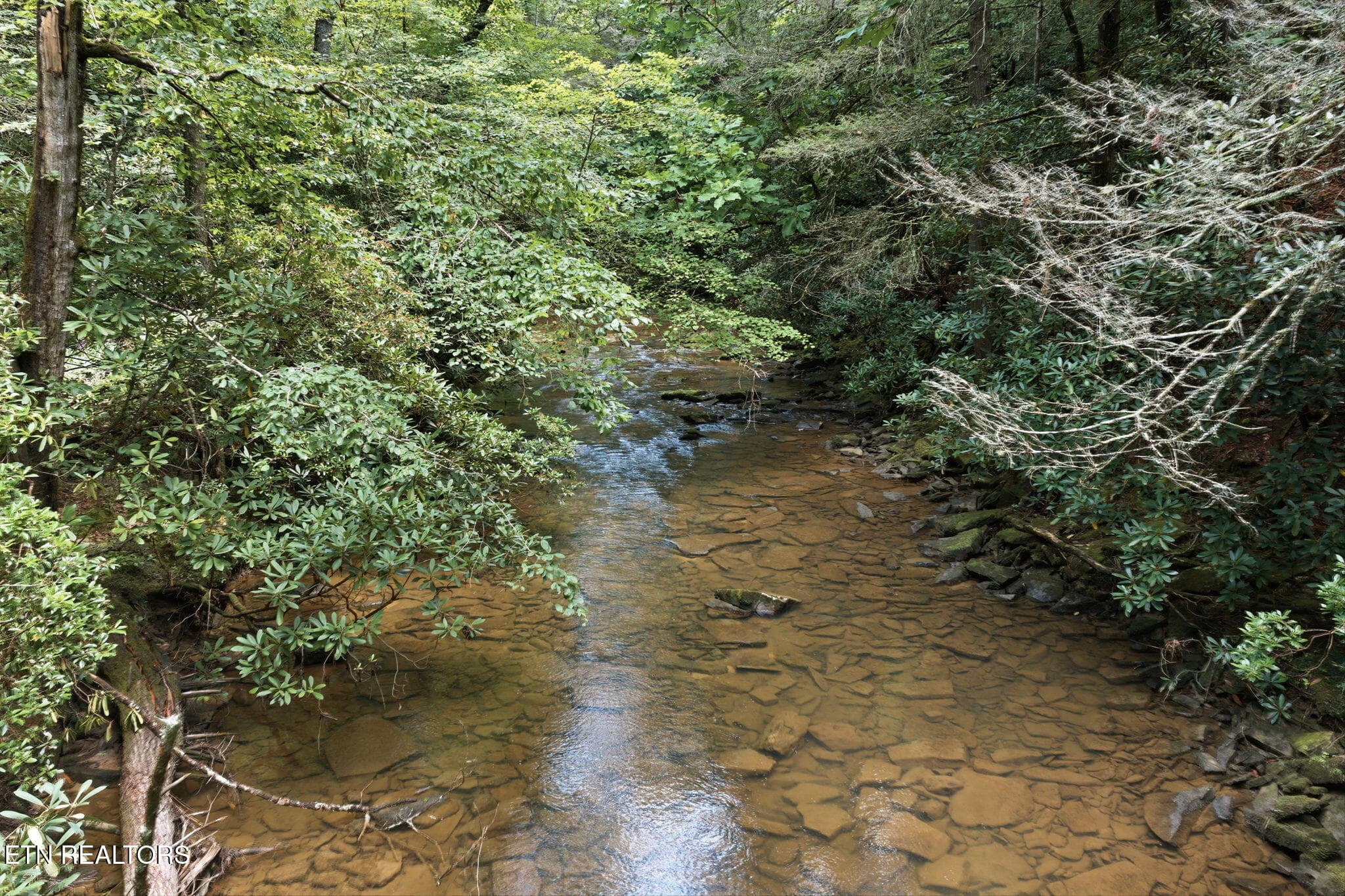 19-web-or-mls-024_Twin Bridge-069 - Twin Bridge Rd, Deer Lodge, TN 37726