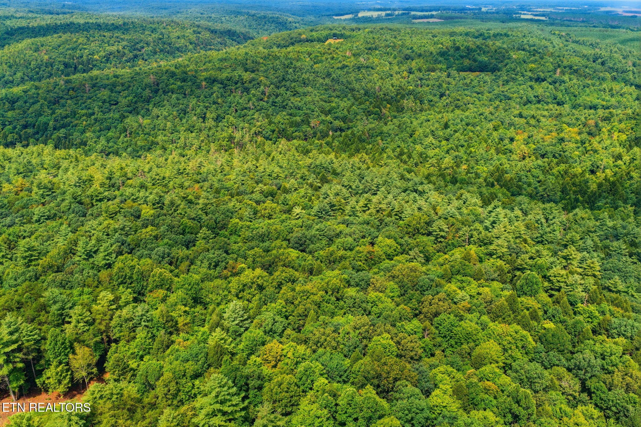 10-web-or-mls-010_Twin Bridge-049 - Twin Bridge Rd, Deer Lodge, TN 37726