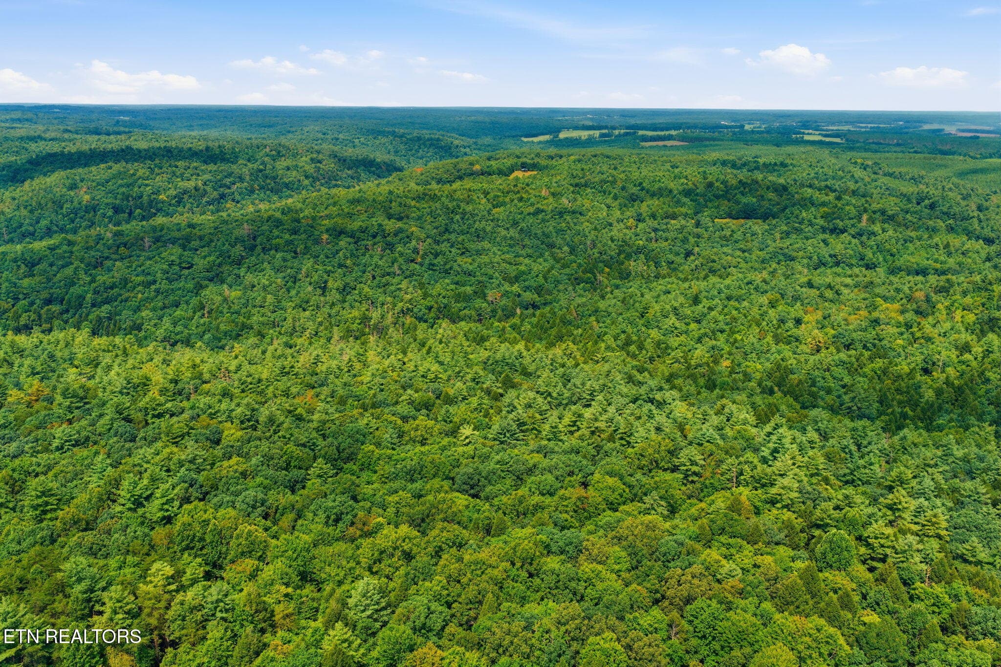 11-web-or-mls-011_Twin Bridge-054 - Twin Bridge Rd, Deer Lodge, TN 37726
