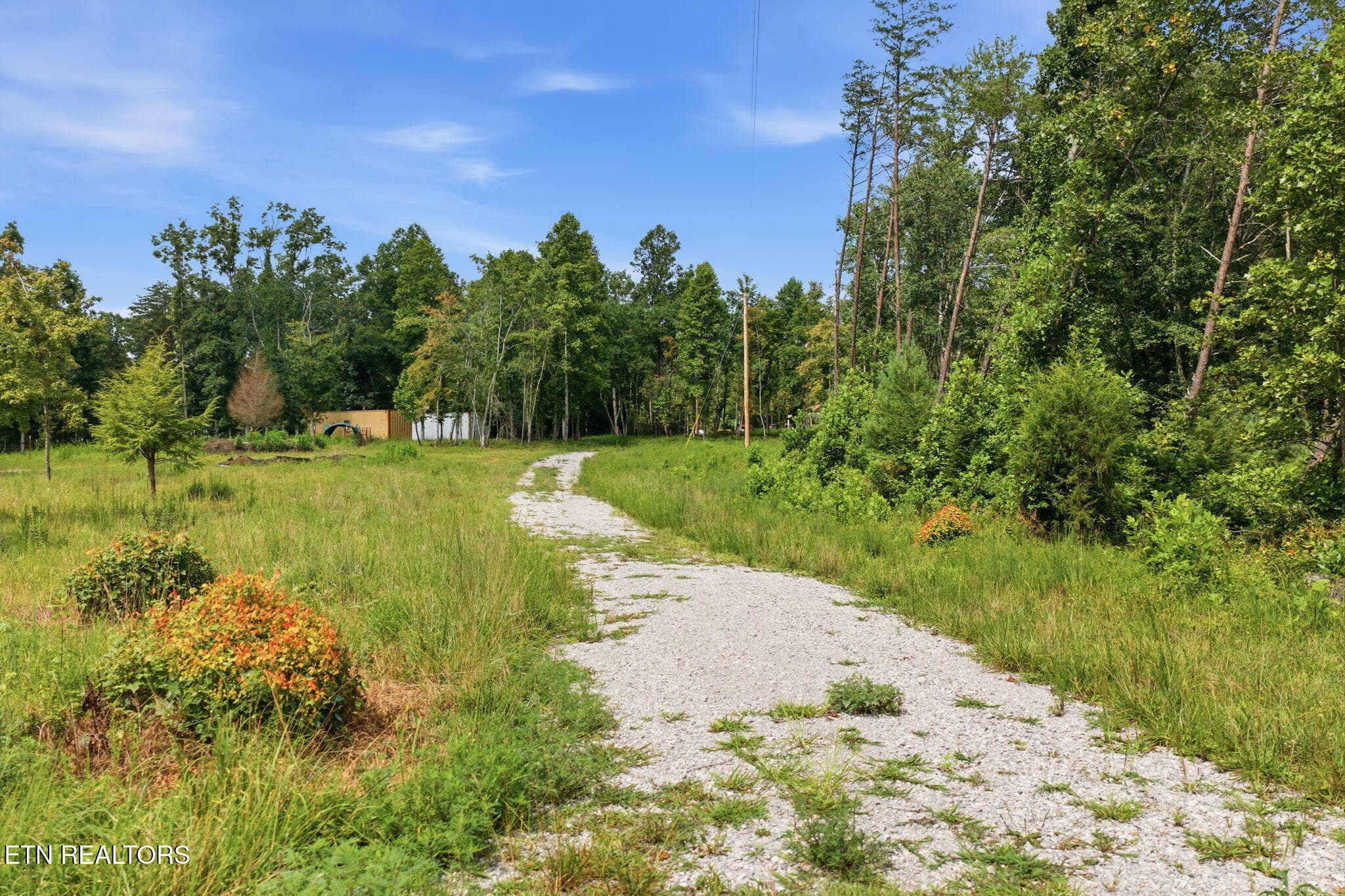 13-web-or-mls-013_Twin Bridge-064 - Twin Bridge Rd, Deer Lodge, TN 37726