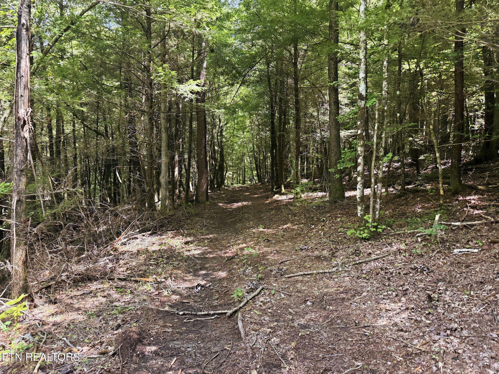14-web-or-mls-014_IMG_3302 - Twin Bridge Rd, Deer Lodge, TN 37726