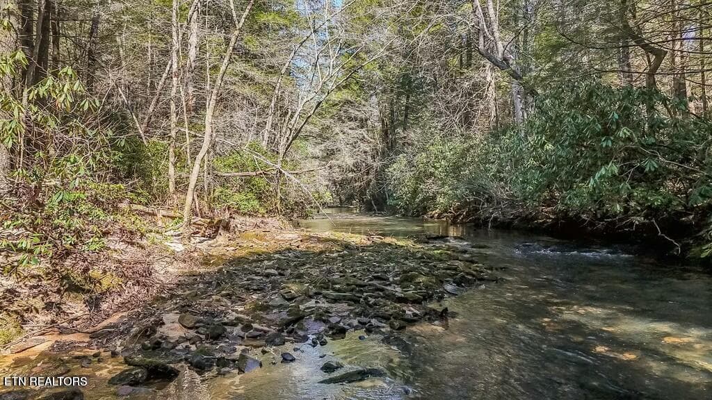 20250406131348051869000000-o - Twin Bridge Rd, Deer Lodge, TN 37726