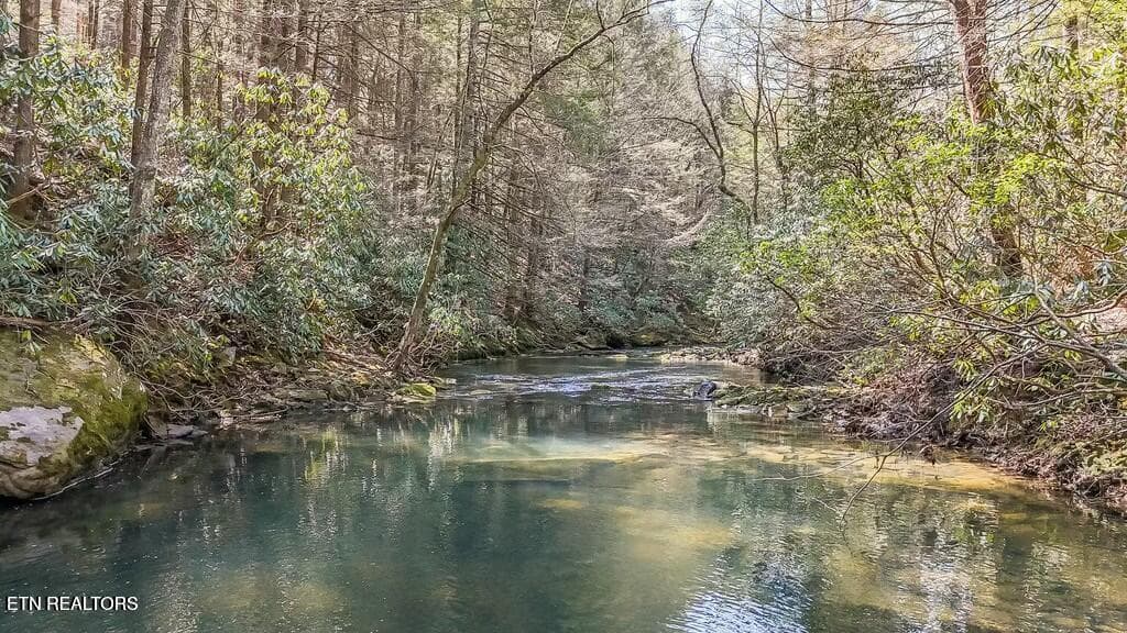 20250406131345813220000000-o - Twin Bridge Rd, Deer Lodge, TN 37726