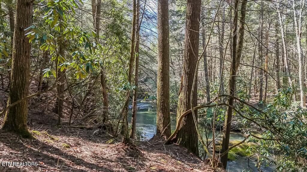 20250406131349502800000000-o - Twin Bridge Rd, Deer Lodge, TN 37726