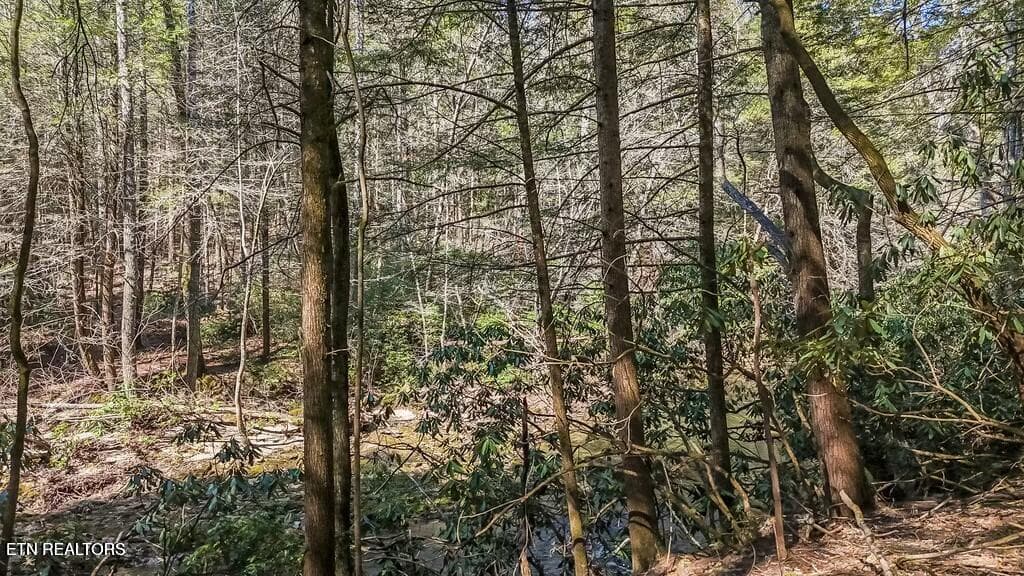 20250406131348824403000000-o - Twin Bridge Rd, Deer Lodge, TN 37726