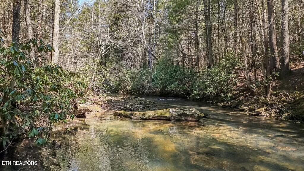 20250406131346566043000000-o - Twin Bridge Rd, Deer Lodge, TN 37726