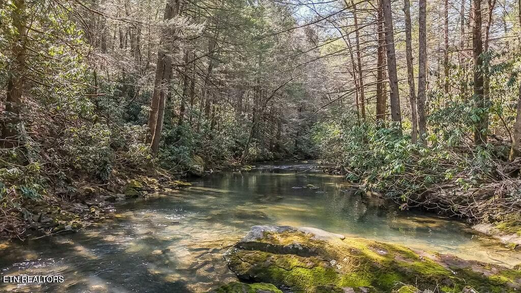 20250406131345173746000000-o - Twin Bridge Rd, Deer Lodge, TN 37726