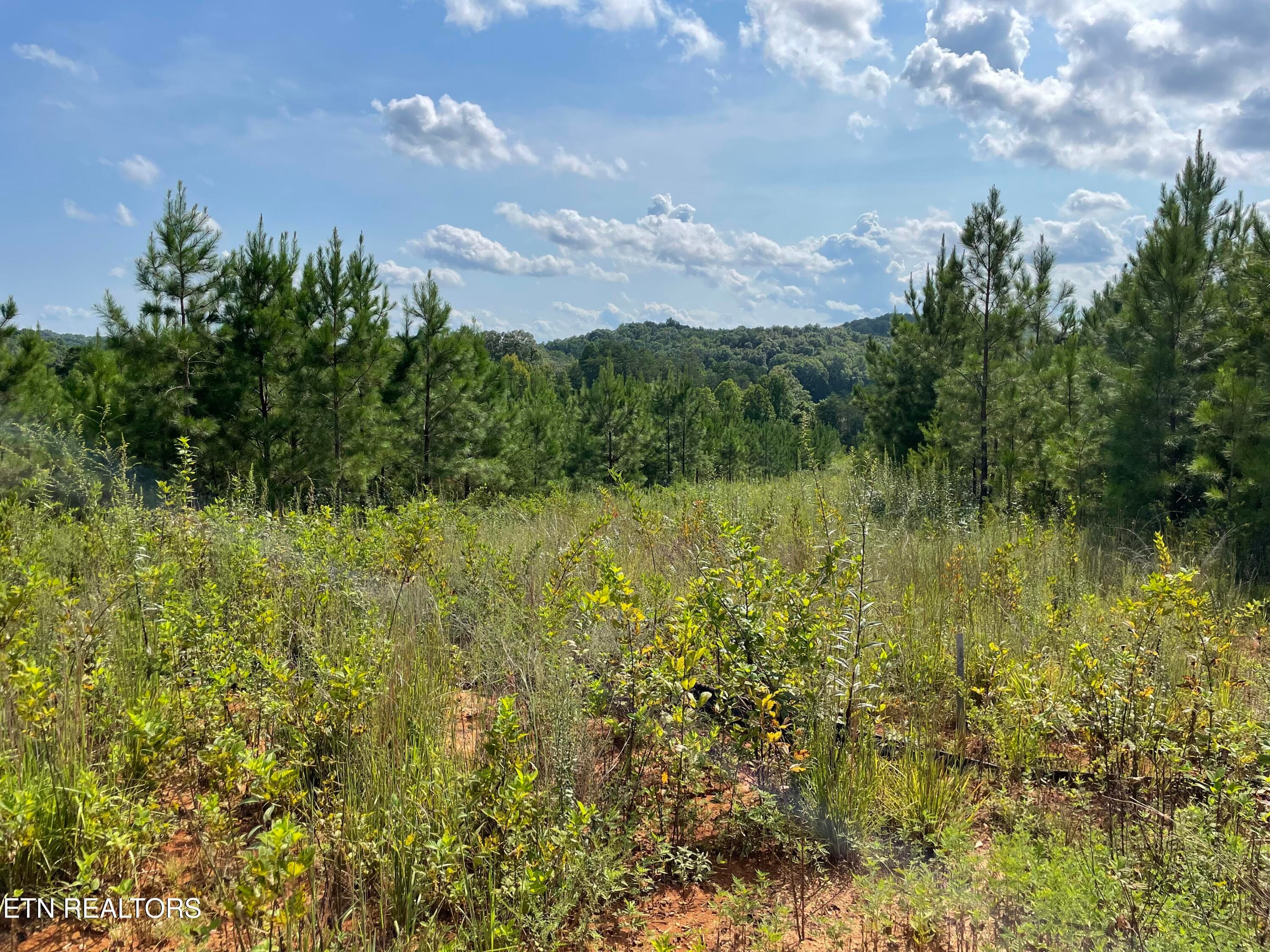 IMG_5493 - Ridgeline Drive, Vonore, TN 37885