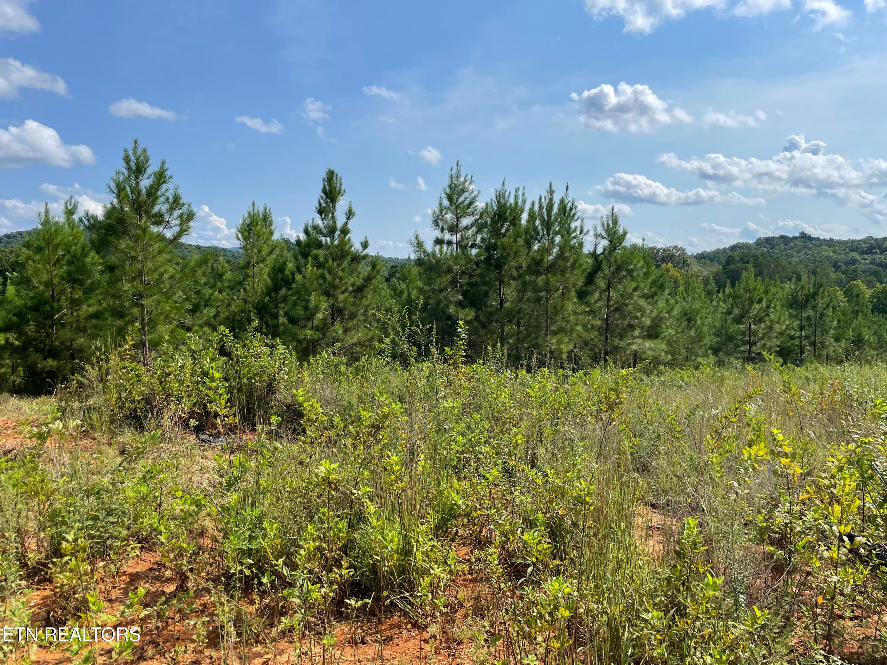IMG_5494 - Ridgeline Drive, Vonore, TN 37885