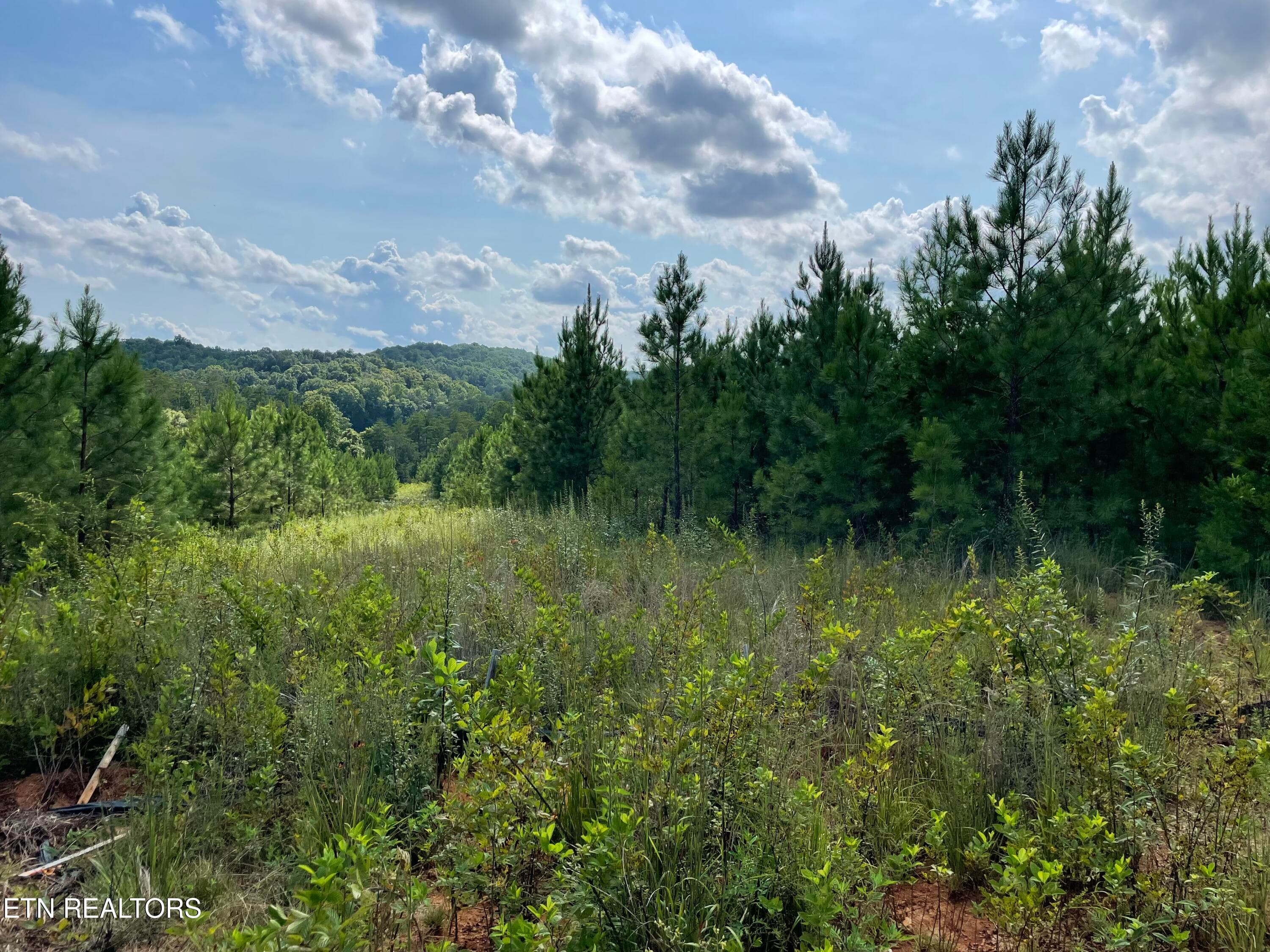 IMG_5498 - Ridgeline Drive, Vonore, TN 37885