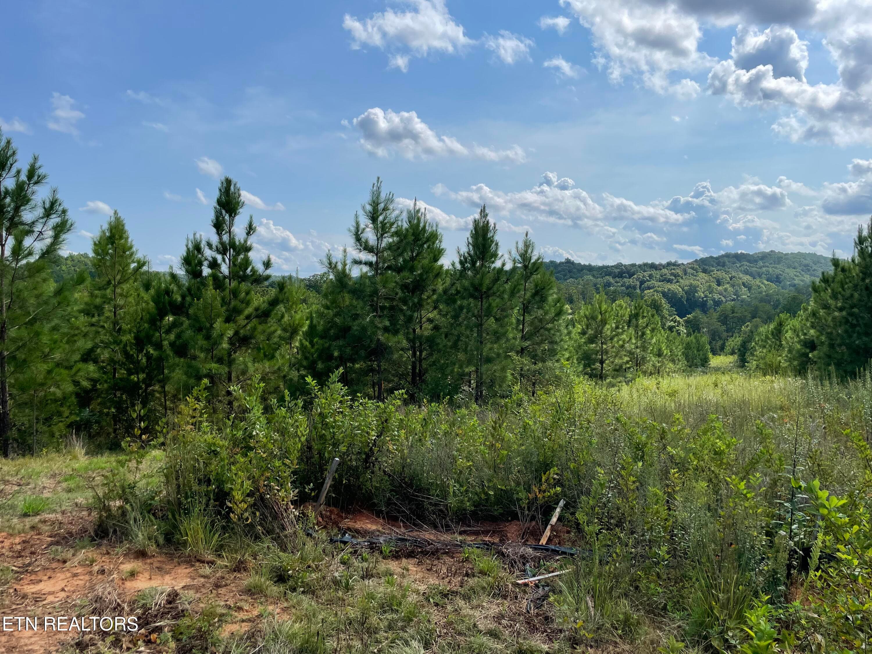 IMG_5499 - Ridgeline Drive, Vonore, TN 37885