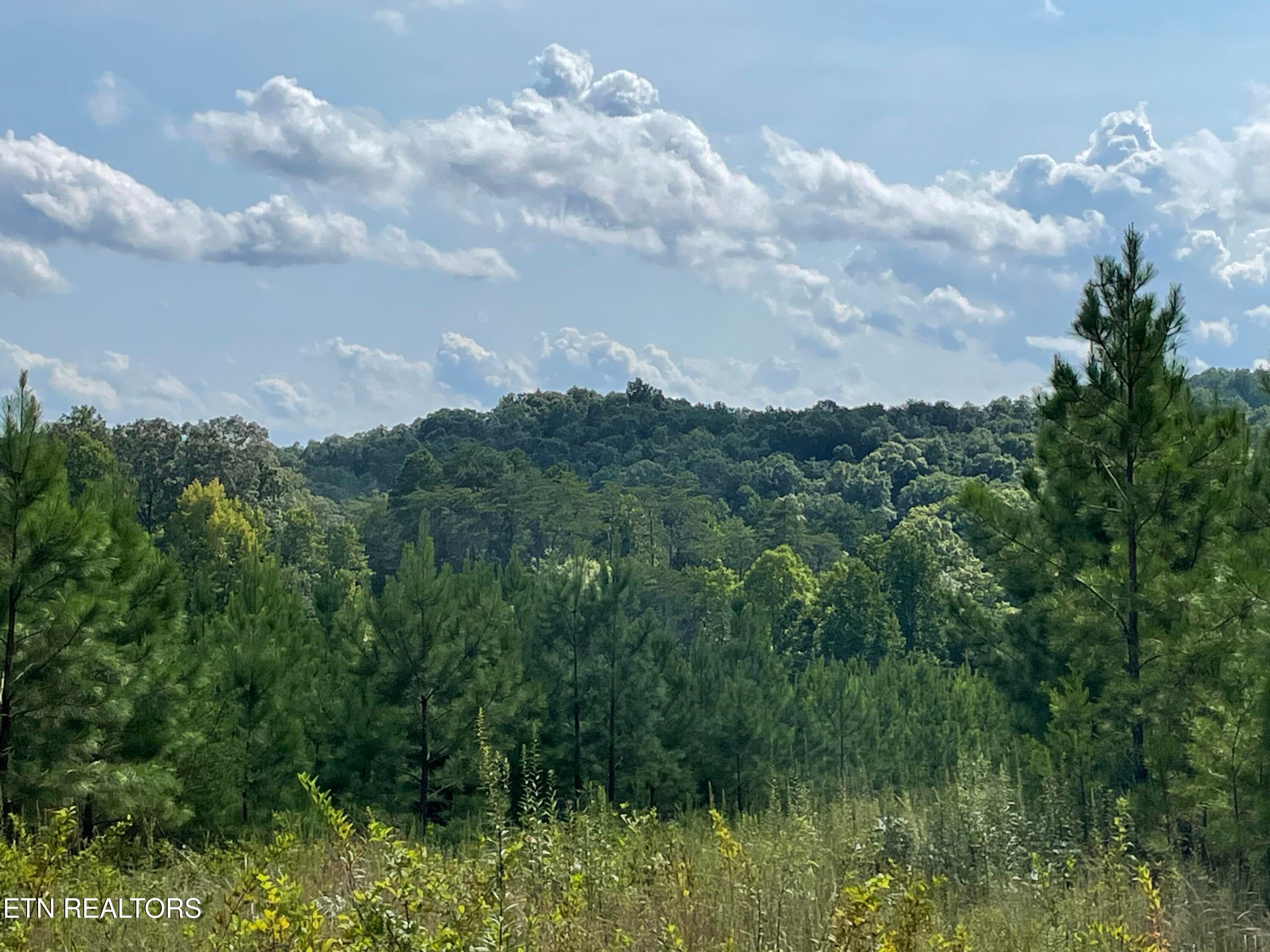 IMG_5500 - Ridgeline Drive, Vonore, TN 37885