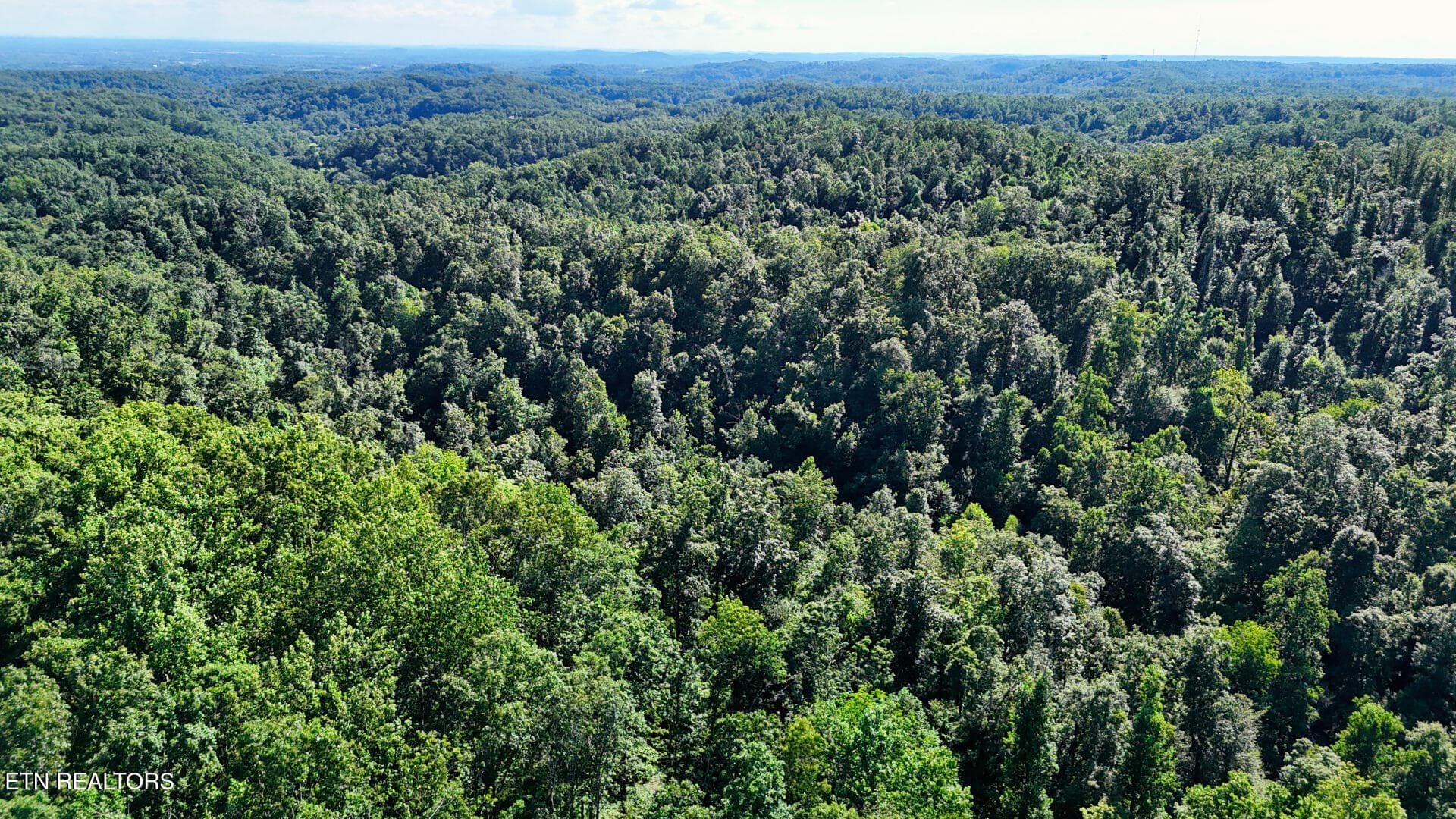 DJI_20260804161456_0350_D - Lot 2 Lindsey Hollow Rd, Gallatin, TN 37066