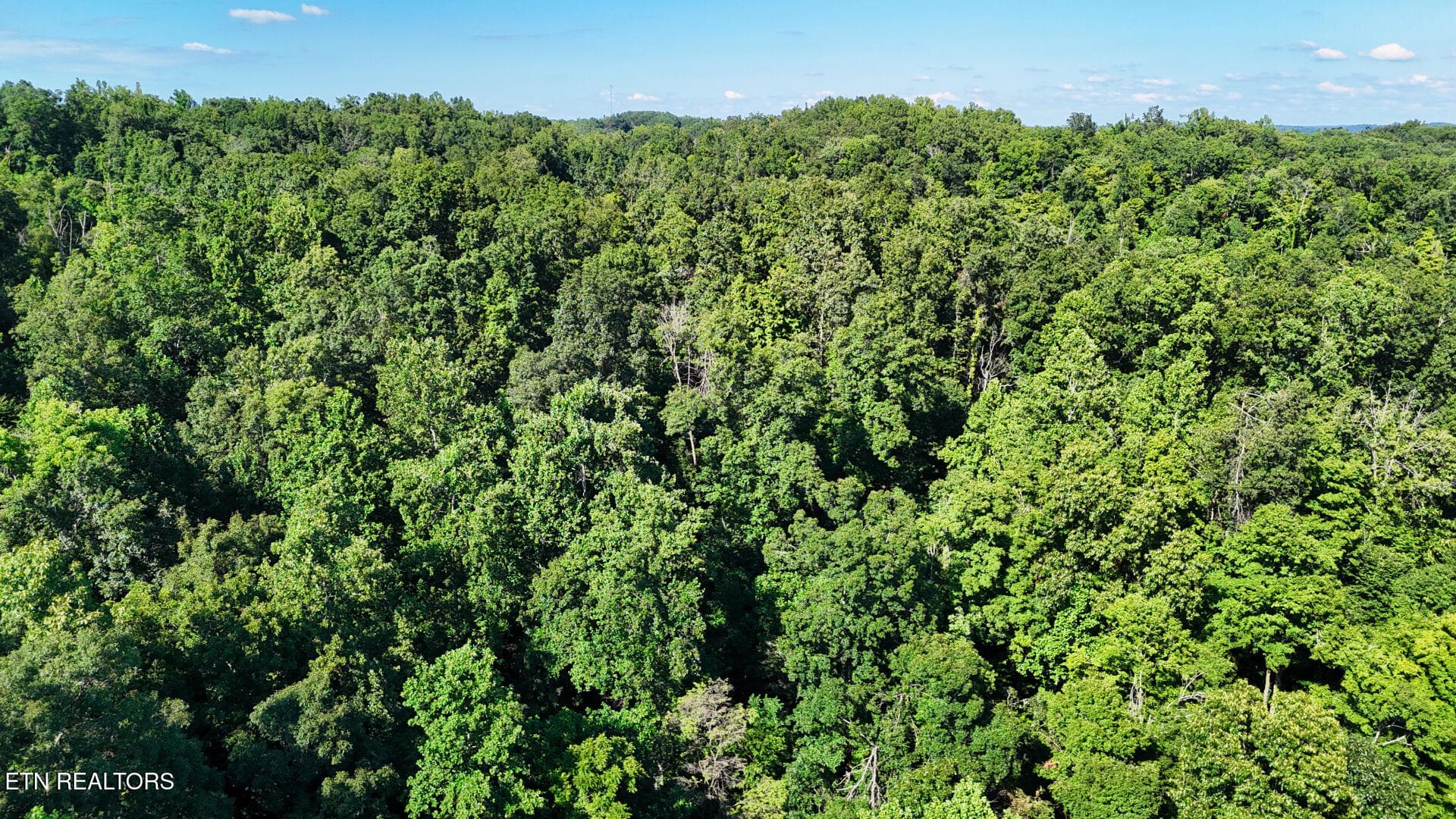 DJI_20260804161610_0363_D - Lot 2 Lindsey Hollow Rd, Gallatin, TN 37066