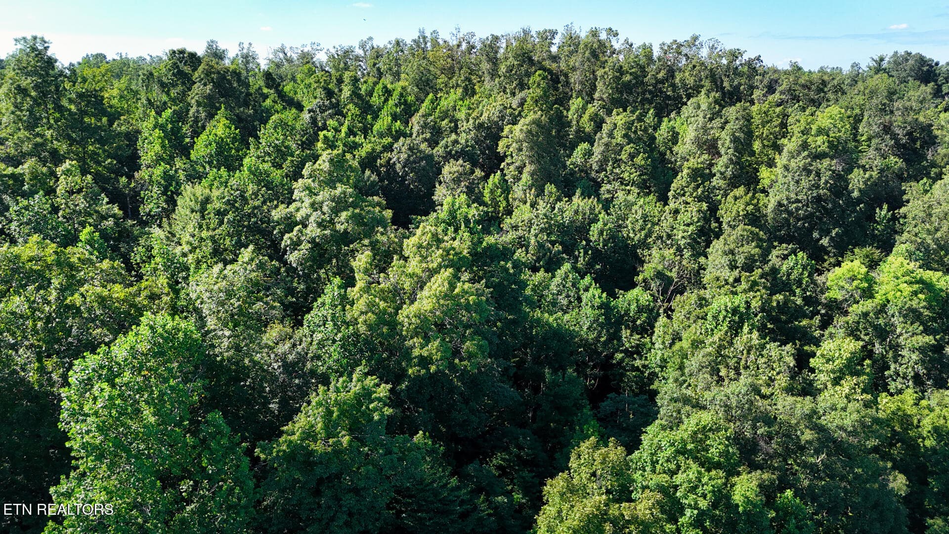 DJI_20260804161612_0364_D - Lot 2 Lindsey Hollow Rd, Gallatin, TN 37066