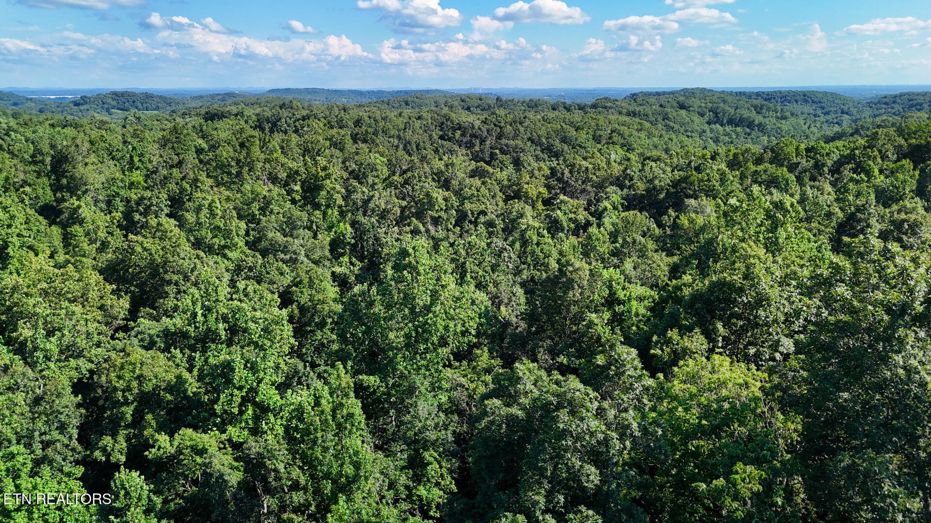DJI_20260804161628_0368_D - Lot 2 Lindsey Hollow Rd, Gallatin, TN 37066