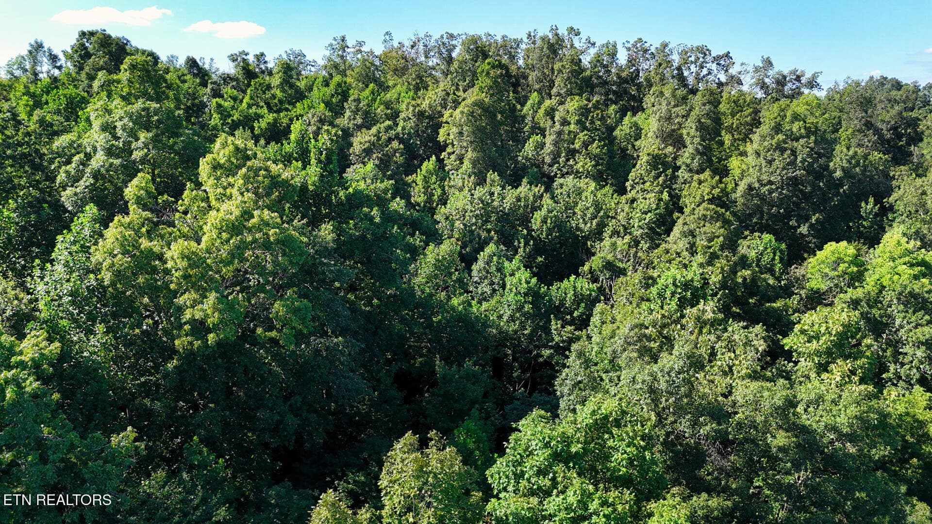 DJI_20260804161645_0370_D - Lot 2 Lindsey Hollow Rd, Gallatin, TN 37066