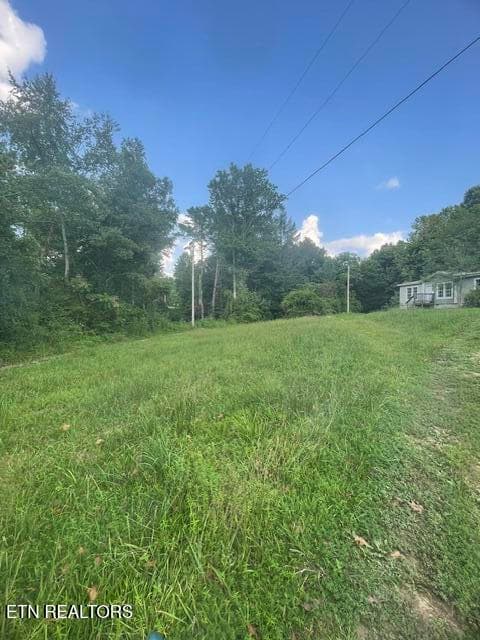 image13 - 598 Rankin Chapel Rd, Oakdale, TN 37829