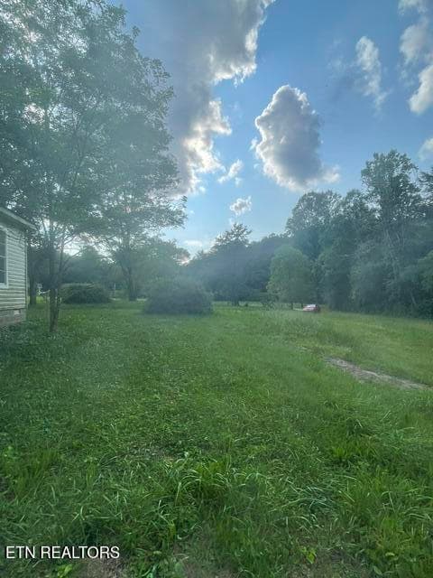 image12 - 598 Rankin Chapel Rd, Oakdale, TN 37829