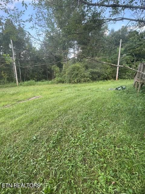 image10 - 598 Rankin Chapel Rd, Oakdale, TN 37829