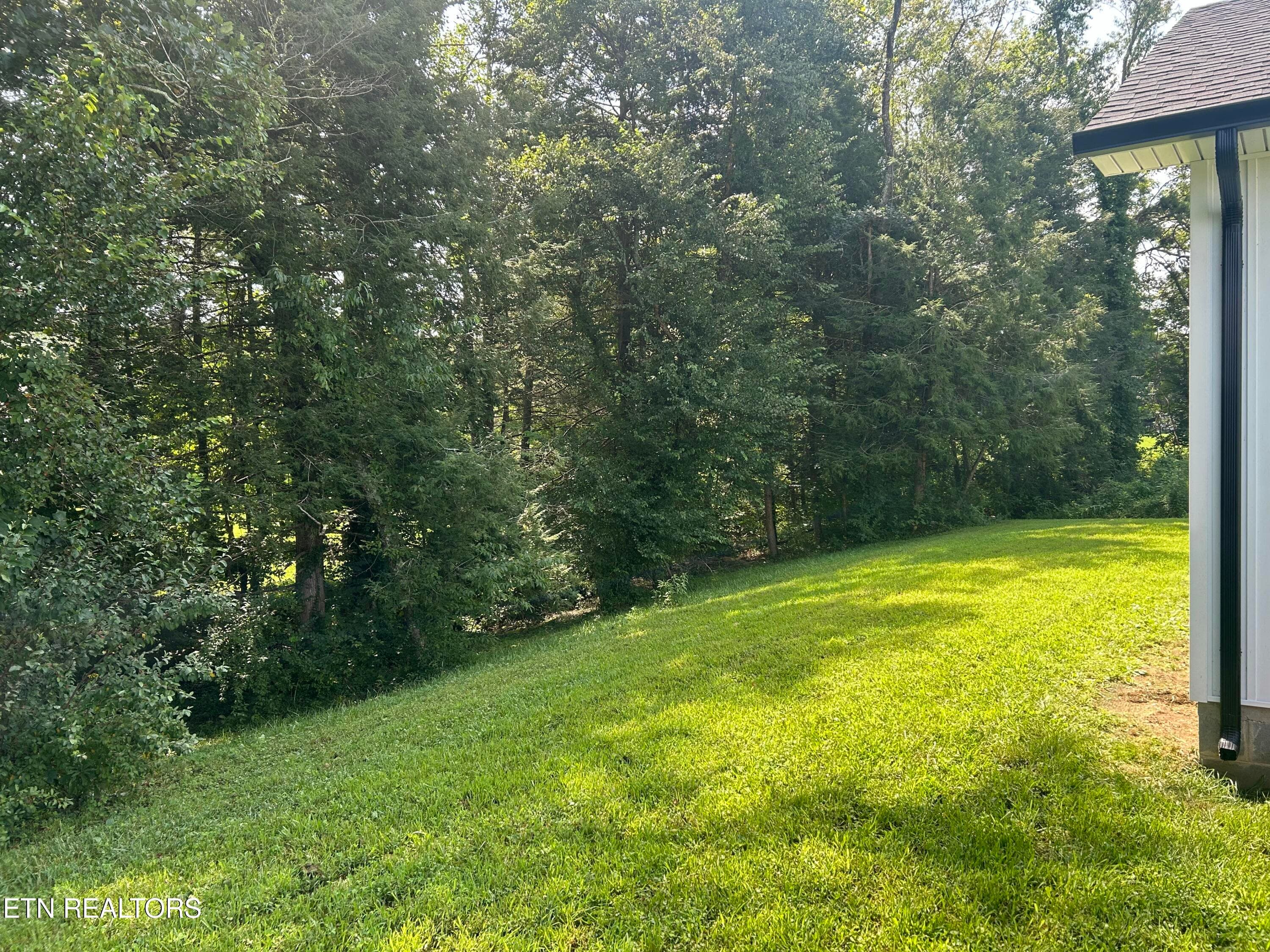 IMG_4299 - 254 Hemlock Springs Drive, Helenwood, TN 37755