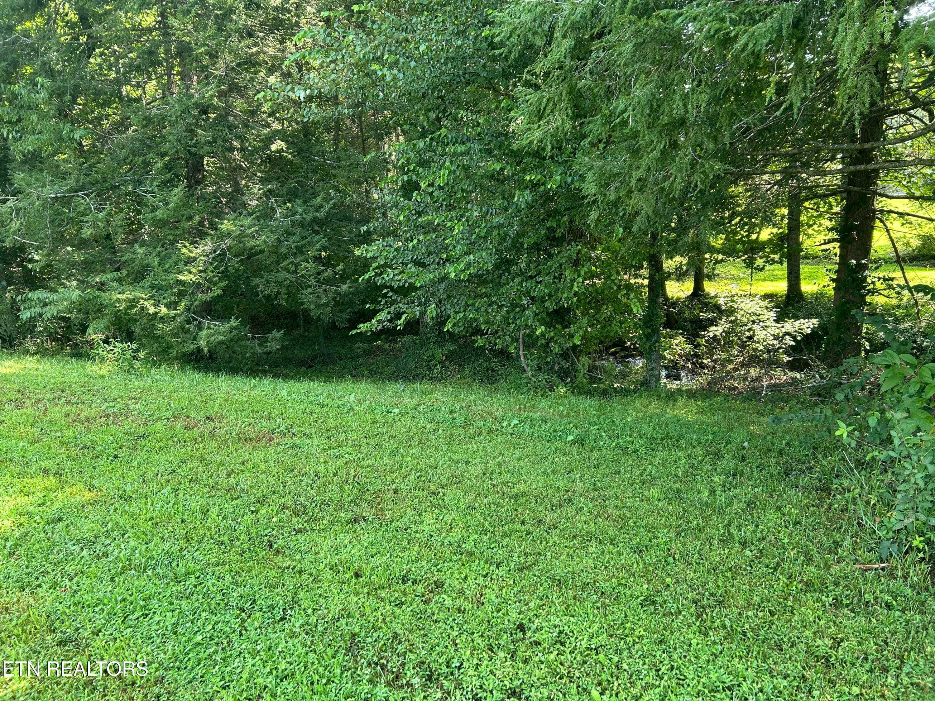 IMG_4291 - 254 Hemlock Springs Drive, Helenwood, TN 37755